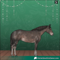 Horse Color:Platinum Liver Chestnut 