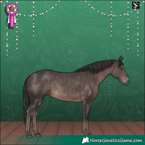Horse Color:Platinum Liver Chestnut 