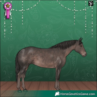 Horse Color:Platinum Liver Chestnut 