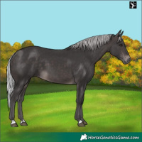 Horse Color:Platinum Silver Brown 