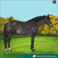 Horse Color:Platinum Brown 