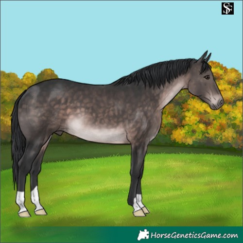 Horse Color:Platinum Brown 