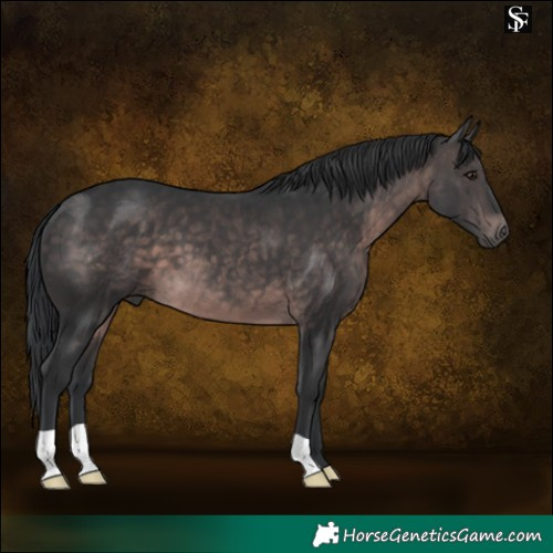 Horse Color:Platinum Brown 