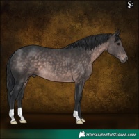 Horse Color:Platinum Brown