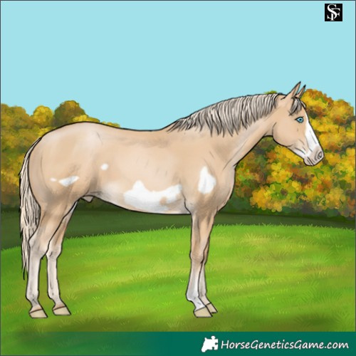 Horse Color:Palomino Pearl Frame