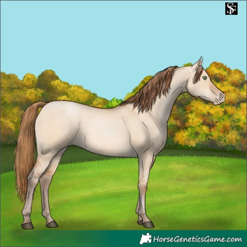 Horse Color:Brown Pearl Dun 