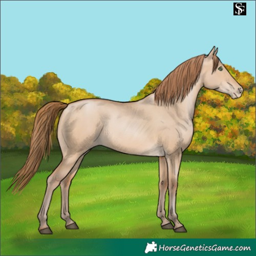 Horse Color:Brown Pearl Dun 