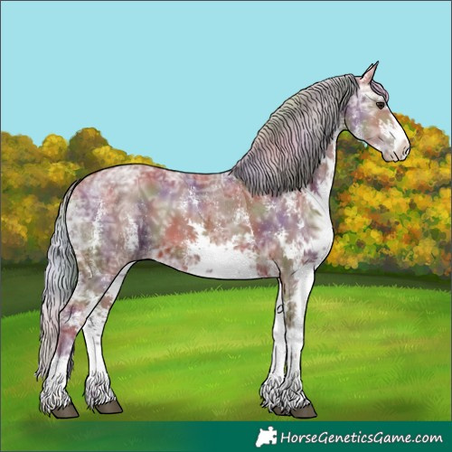 Horse Color:Nacre White Spotted Chocolate Silver Brown Ice 