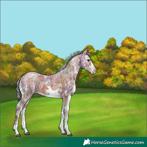 Horse Color:Nacre White Spotted Chocolate Silver Brown Ice 