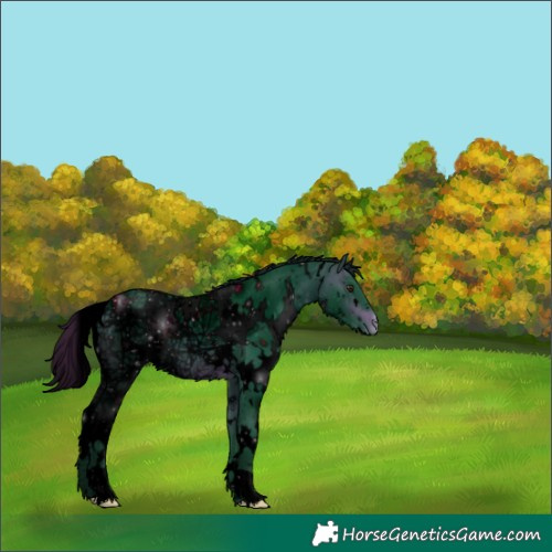 Horse Color:ERROR: UNKNOWN ANOMALY