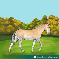 Horse Color:Gold Cream Champagne Onyx Tobiano 