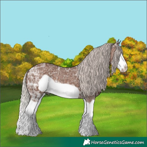 Horse Color:Silver Black Ice Splash Frame