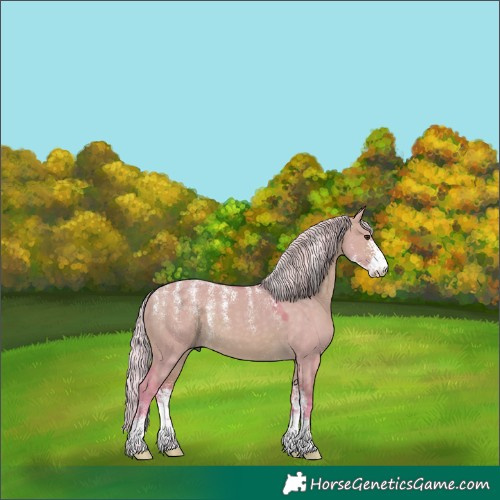 Horse Color:Powder White Watercolor Silver Brown Dun Sabino 