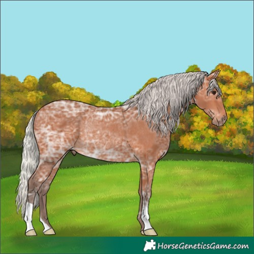 Horse Color:Silver Bay Ice Rabicano 
