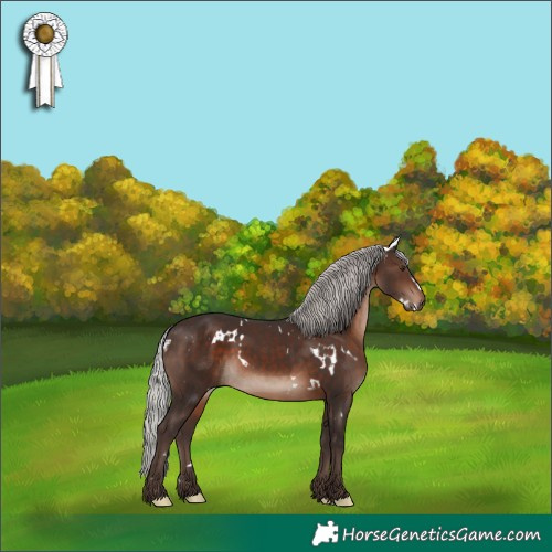 Horse Color:White Spotted Silver Brown Mushroom 