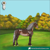 Horse Color:White Spotted Silver Brown Mushroom 