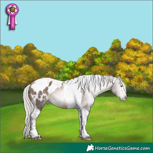 Horse Color:Gray White Spotted Silver Brown Pearl Mushroom Tobiano Blanket 