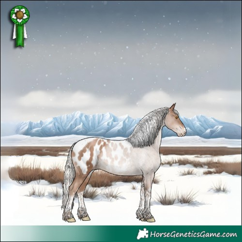 Horse Color:White Spotted Silver Black Pearl Mushroom Tobiano Appaloosa 