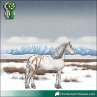 Horse Color:White Spotted Silver Black Pearl Mushroom Tobiano Appaloosa 