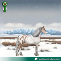 Horse Color:White Spotted Silver Black Pearl Mushroom Tobiano Appaloosa 