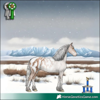 Horse Color:White Spotted Silver Black Pearl Mushroom Tobiano Appaloosa 