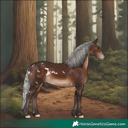 Horse Color:White Spotted Silver Brown Rabicano 