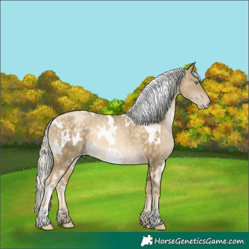 Horse Color:White Spotted Silver Buckskin Pearl 