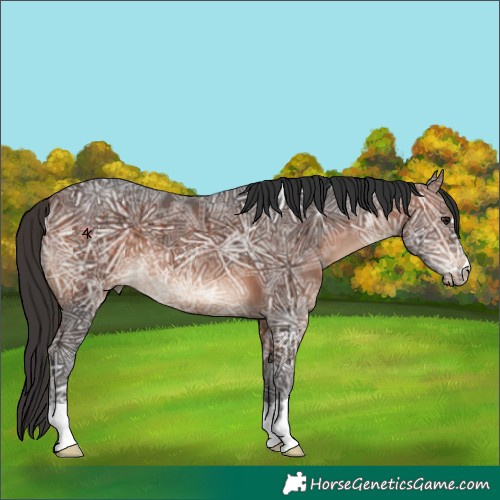 Horse Color:Bay Ice