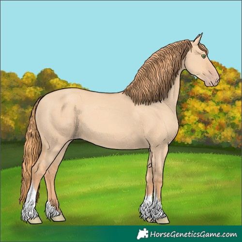 Horse Color:Gold Champagne Dun Tobiano 