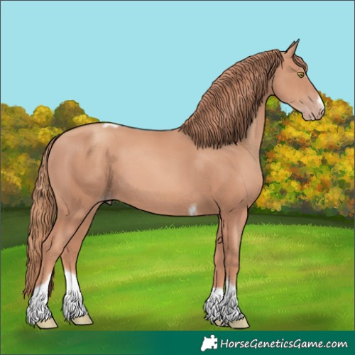 Horse Color:Gold Champagne Tobiano Frame 