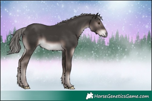 Horse Color:Platinum Liver Chestnut