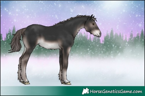 Horse Color:Platinum Liver Chestnut 