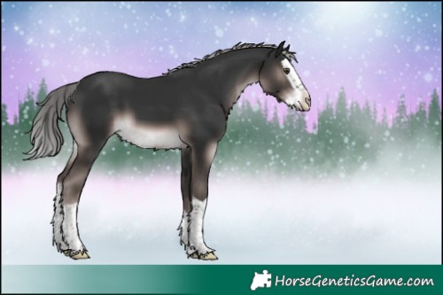 Horse Color:Platinum Liver Chestnut Splash