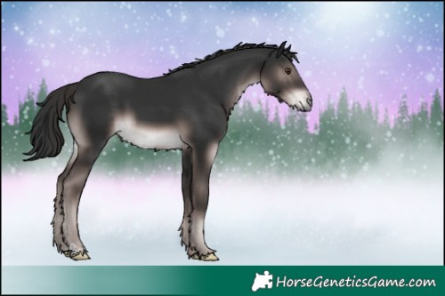 Horse Color:Platinum Liver Chestnut