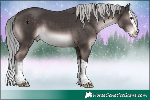 Horse Color:Platinum Liver Chestnut Splash 