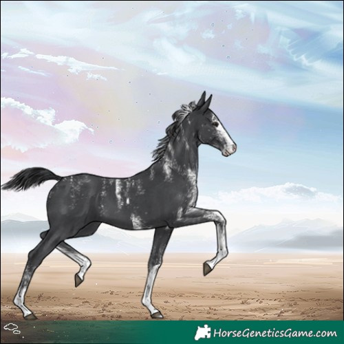 Horse Color:Powder White White Spotted Black