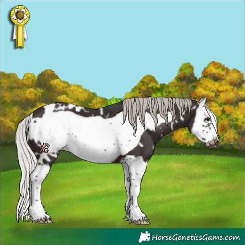 Horse Color:White Spotted Silver Brown Splash Frame 