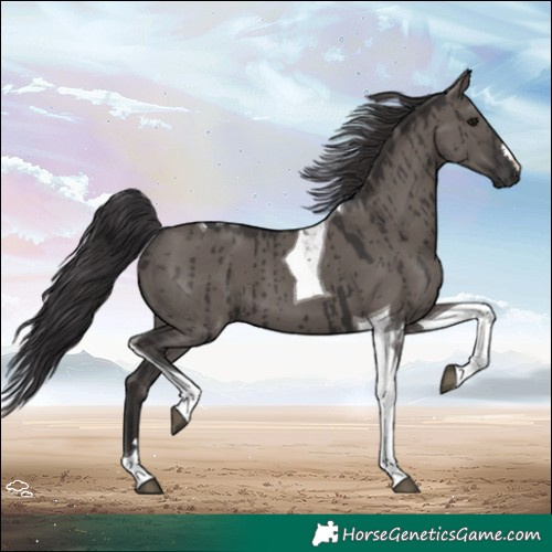 Horse Color:Smoky Grullo Tobiano Brindle 