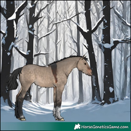 Horse Color:Brown Dun Tobiano