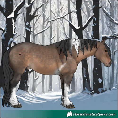 Horse Color:Brown Dun Tobiano 