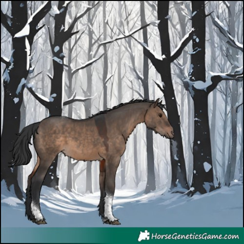 Horse Color:Brown Dun Tobiano