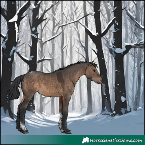 Horse Color:Brown Dun Tobiano 