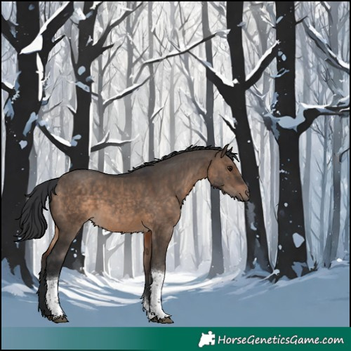 Horse Color:Brown Dun Tobiano 