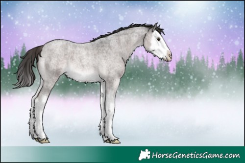 Horse Color:Platinum Liver Red Roan Splash