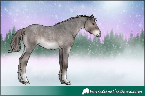 Horse Color:Platinum Liver Red Roan