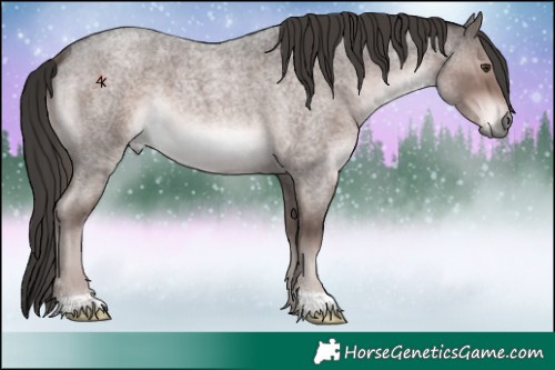 Horse Color:Platinum Liver Red Roan