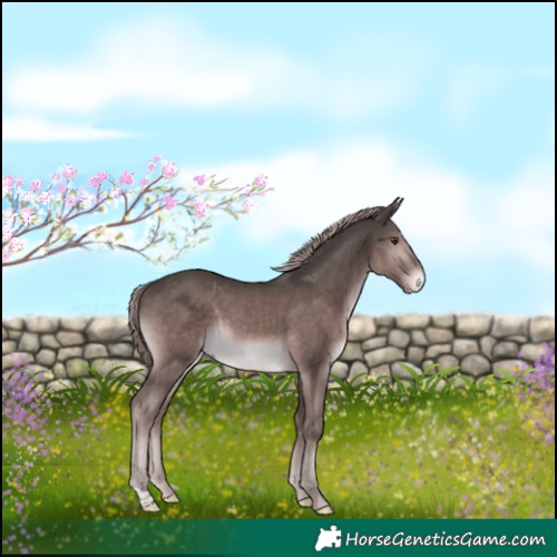 Horse Color:Platinum Liver Chestnut 