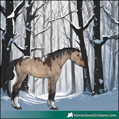 Horse Color:Brown Dun Tobiano 
