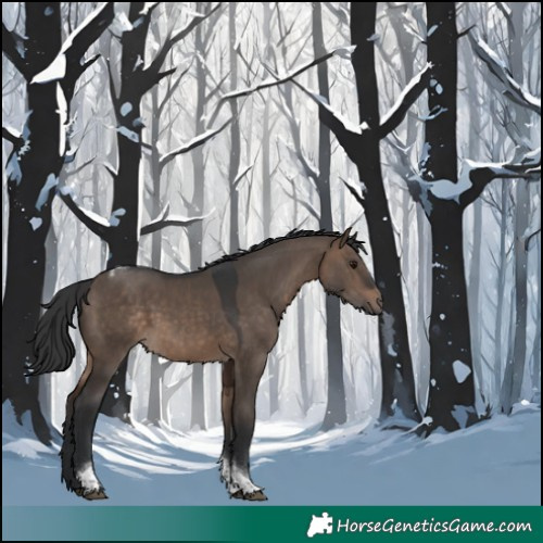 Horse Color:Brown Dun Tobiano