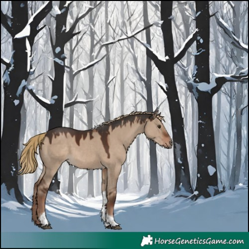 Horse Color:Liver Red Dun Tobiano 